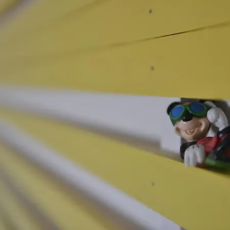 Castel Pierre Lisse Hyères